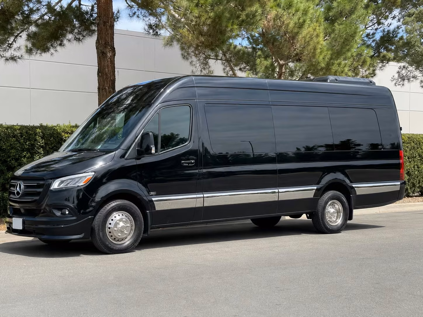 sprinter van with driver